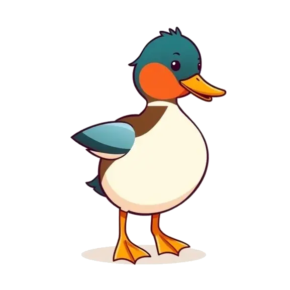 About Shelduck.Lol
