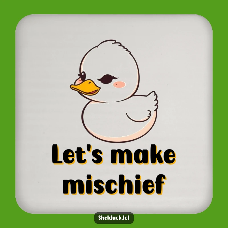 Funny Shelduck Coasters - Winking Grin Humor, Hilarious Gift Set