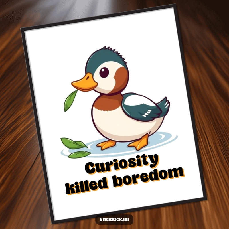 Funny Shelduck Poster capturing a shelduck’s curious head tilt towards a floating leaf, ideal for humorous and nature-themed wall art.