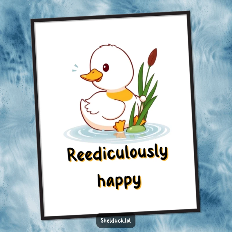 Funny shelduck poster print of a happy shelduck bird playfully pecking at a floating reed, adding humor to wall decor.