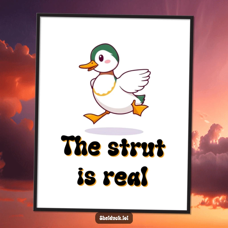 Funny Shelduck Strut Poster: A humorous artwork of a shelduck strutting, perfect for a funny gift.