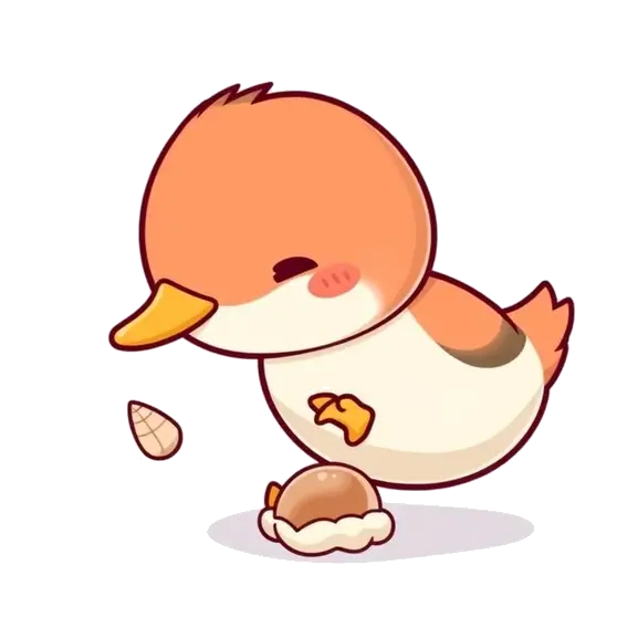 Welcome to Shelduck.Lol